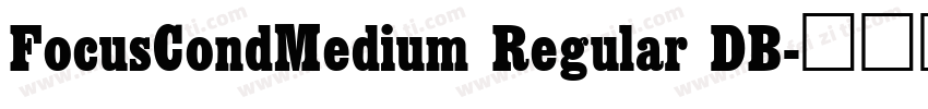 FocusCondMedium Regular DB字体转换